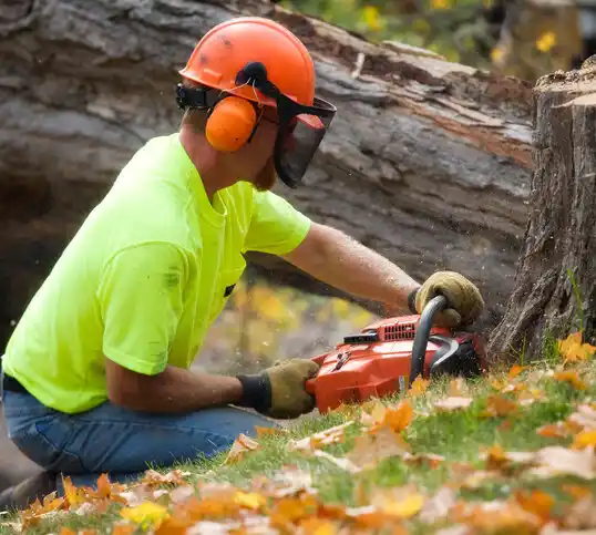 tree services Amagansett